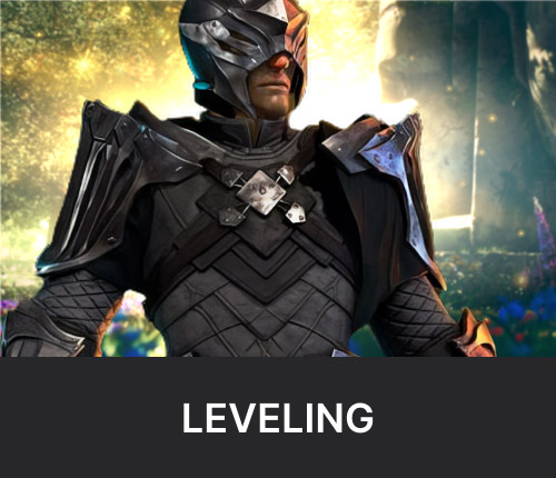 New World Leveling